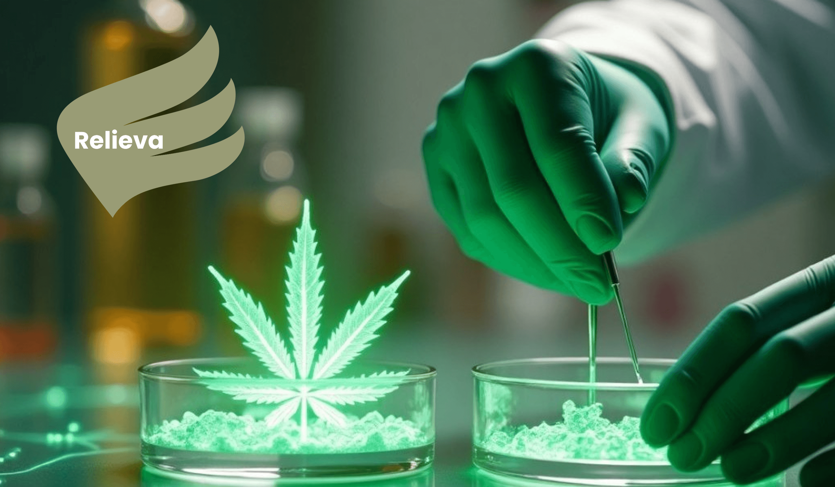 Relieva project image