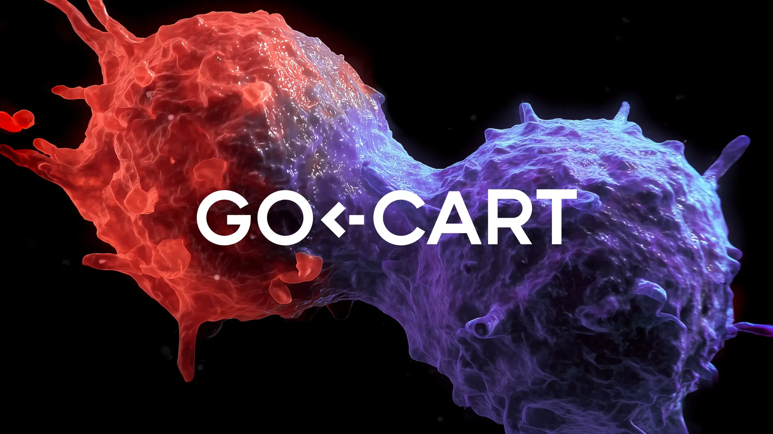 GoCART project image