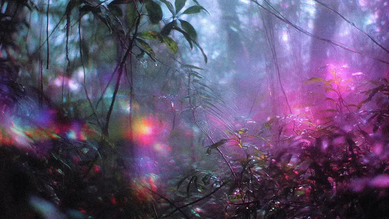 Exploring DMT: Endogenous role and therapeutic potential