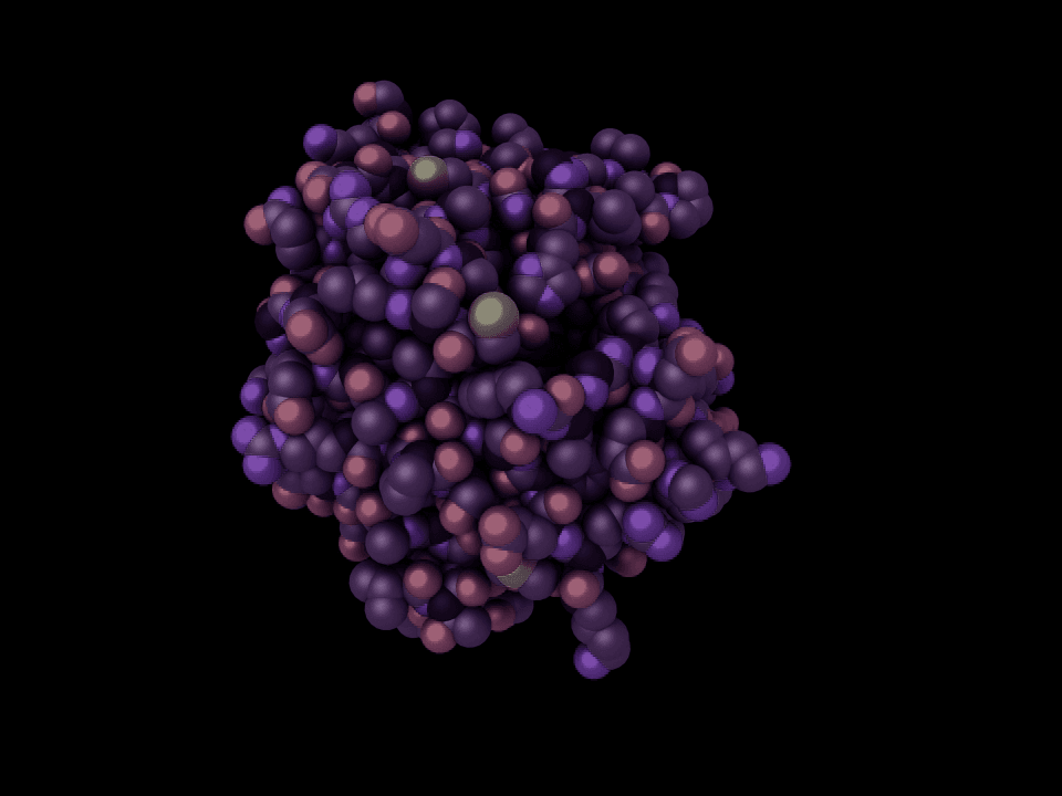 Exploring DMT: Endogenous role and therapeutic potential