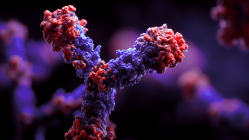 Programming CAR T Cell Tumor Recognition: Tuned Antigen Sensing and Logic Gating
