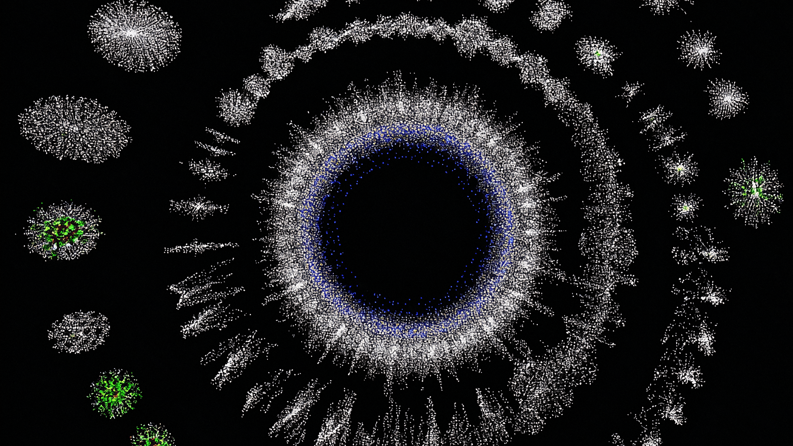 Senescence as a therapeutic target in cancer and age-related diseases