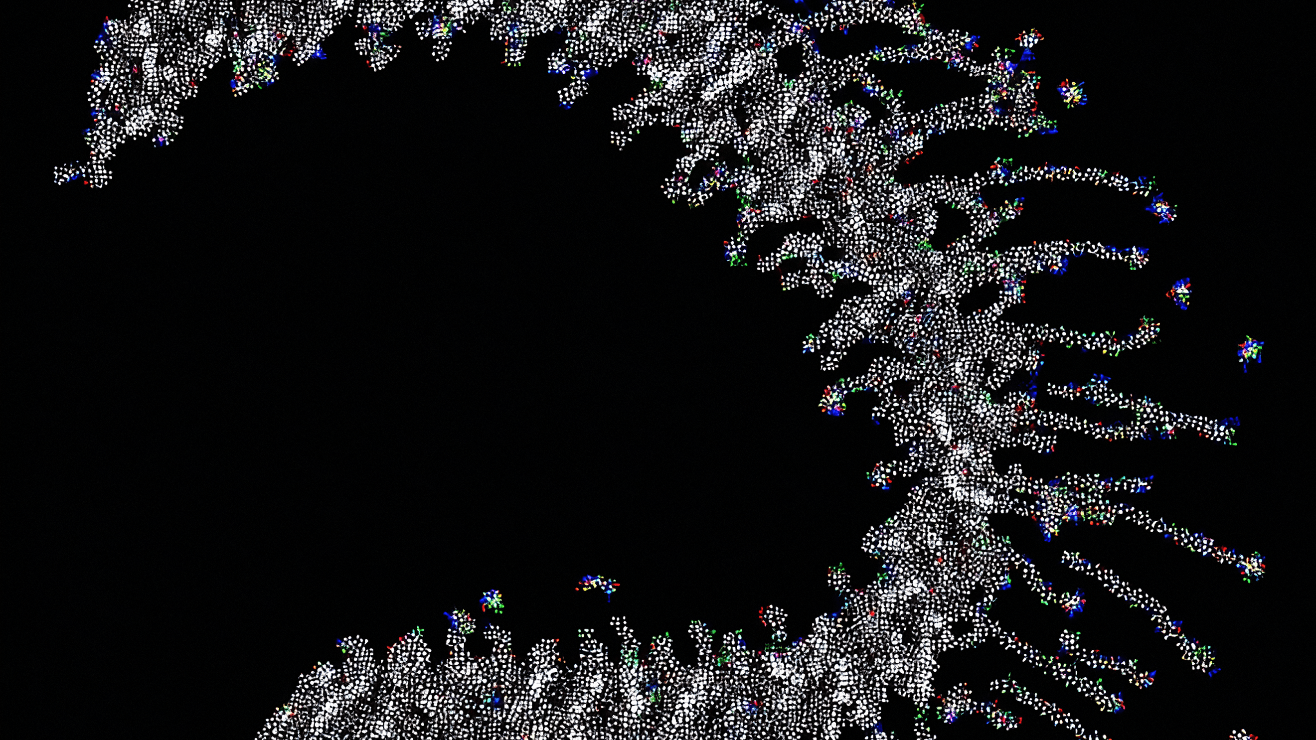 Synthetic lethality in cancer drug discovery: challenges and opportunities