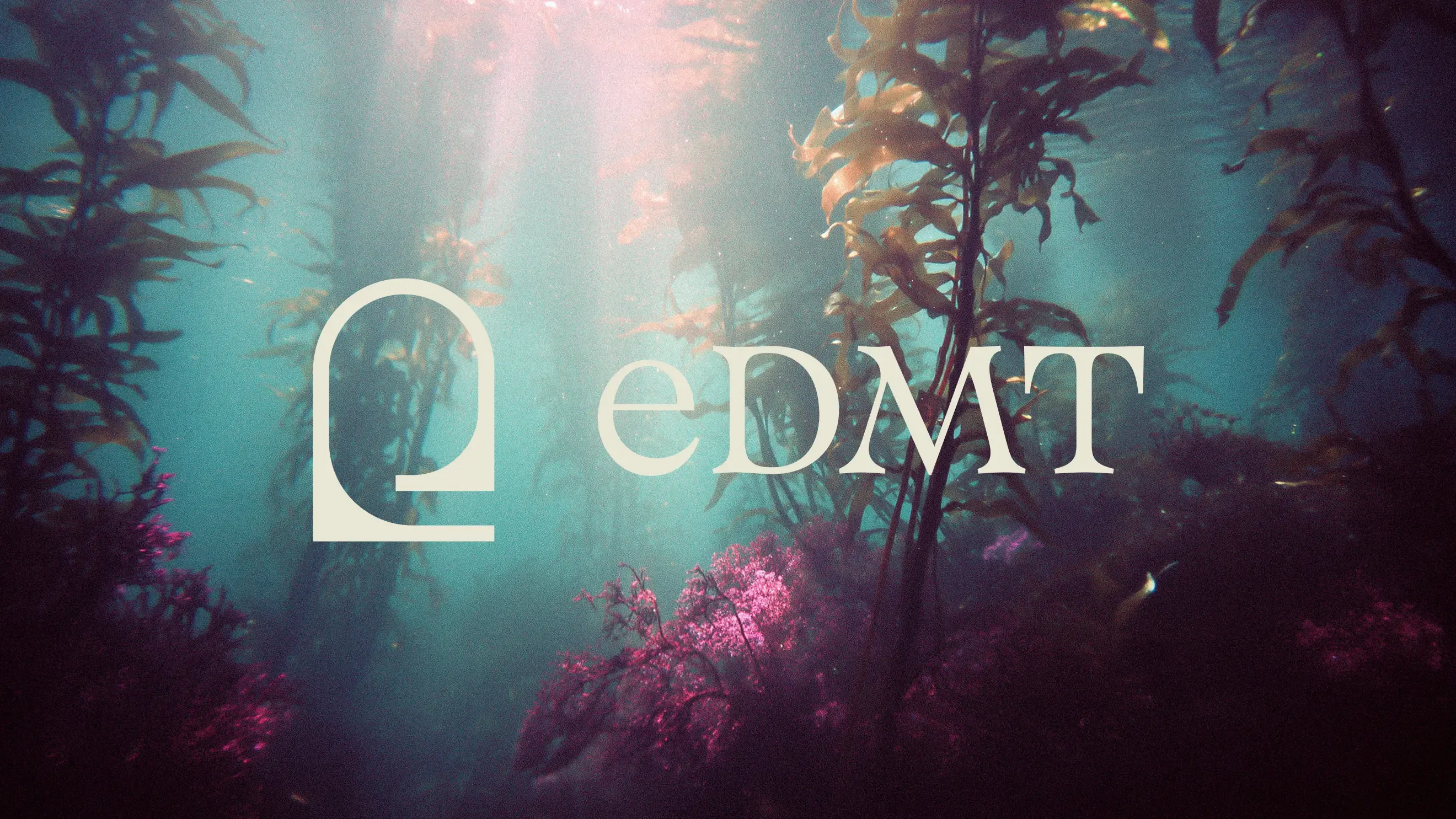 eDMT Commons project image