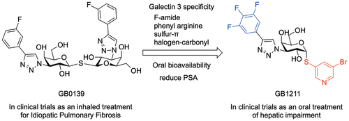 Discovery and Optimization of the First Highly Effective and Orally Available Galectin-3 Inhibitors for Treatment of Fibrotic Disease