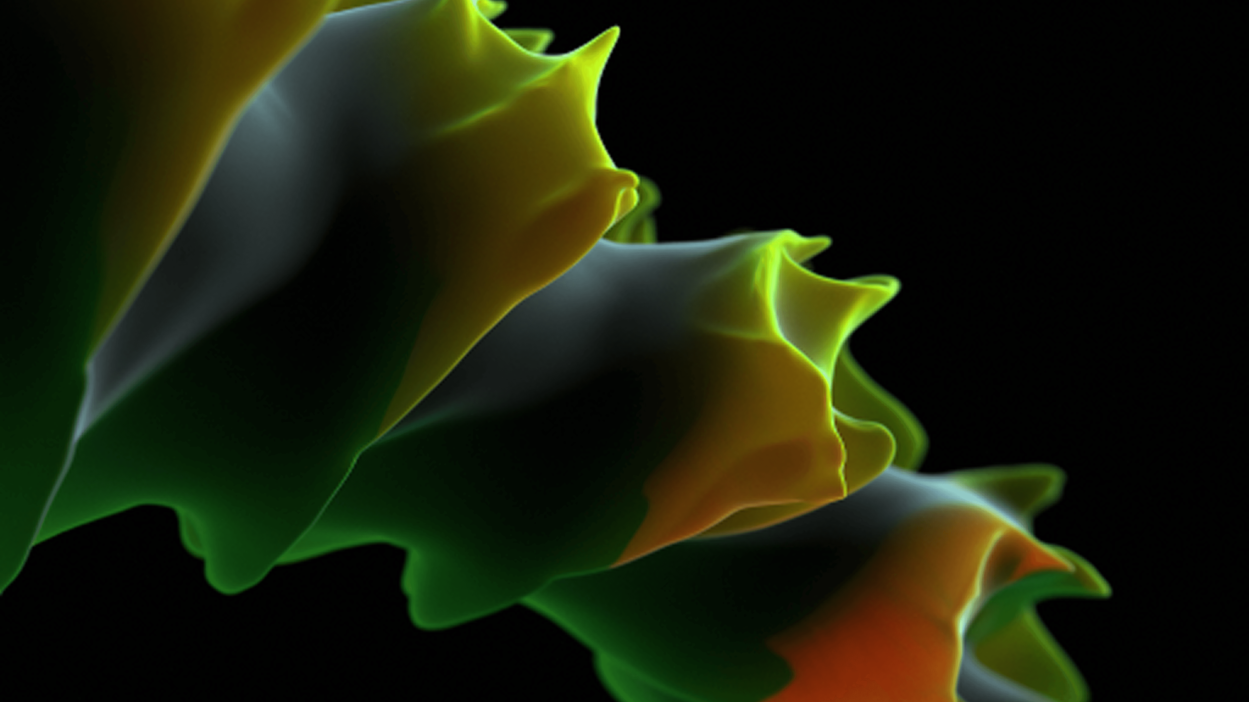 FOXO3a overexpression ameliorates intervertebral disc degeneration by decreasing NLRP3-mediated pyroptosis